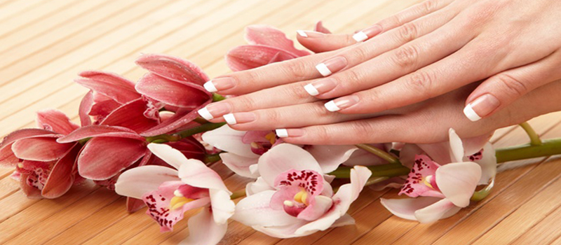 Trendy Nail Bar logo